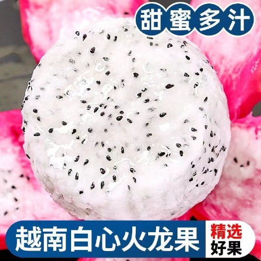 昆明【新鲜采摘24小时内发货】火龙果新鲜5-10斤应当季热带水果