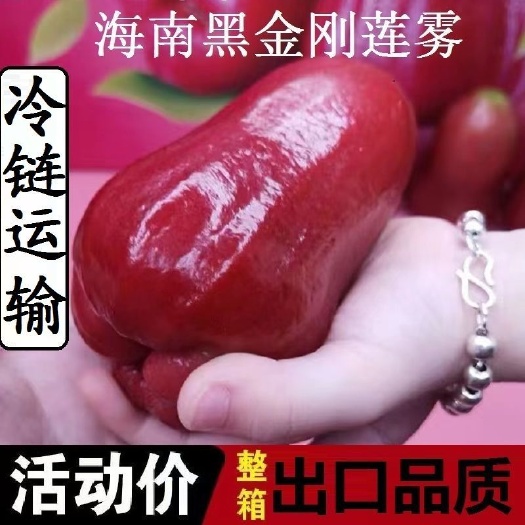 三亚海南黑金刚莲雾新鲜水果热带莲雾果孕妇水果仙女果（包邮）