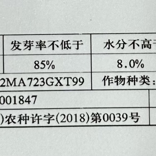 八里香甜瓜种子超甜特大飘香瓜种籽花皮绿瓤水果春夏秋四季蔬菜孑