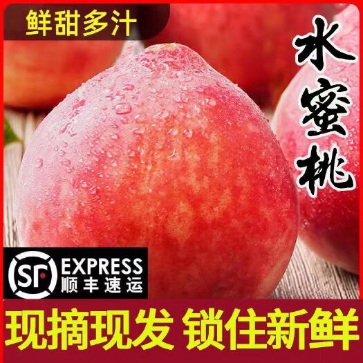 【24小时内发货】头茬桃子脆甜 新鲜大果当季水果