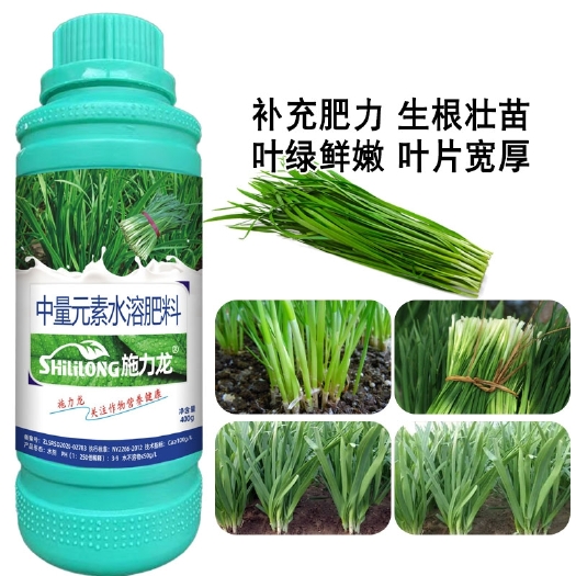 郑州韭菜专用叶面肥生根壮苗叶片肥厚叶色浓绿抗病抗逆防黄叶