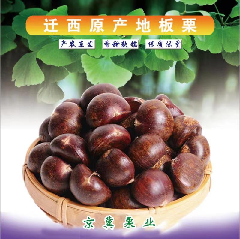 ǨءáǨƷȫֱƤŴ