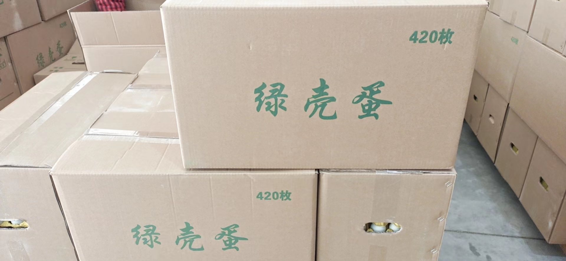 480枚裝高品質綠殼蛋，全國物流發(fā)貨