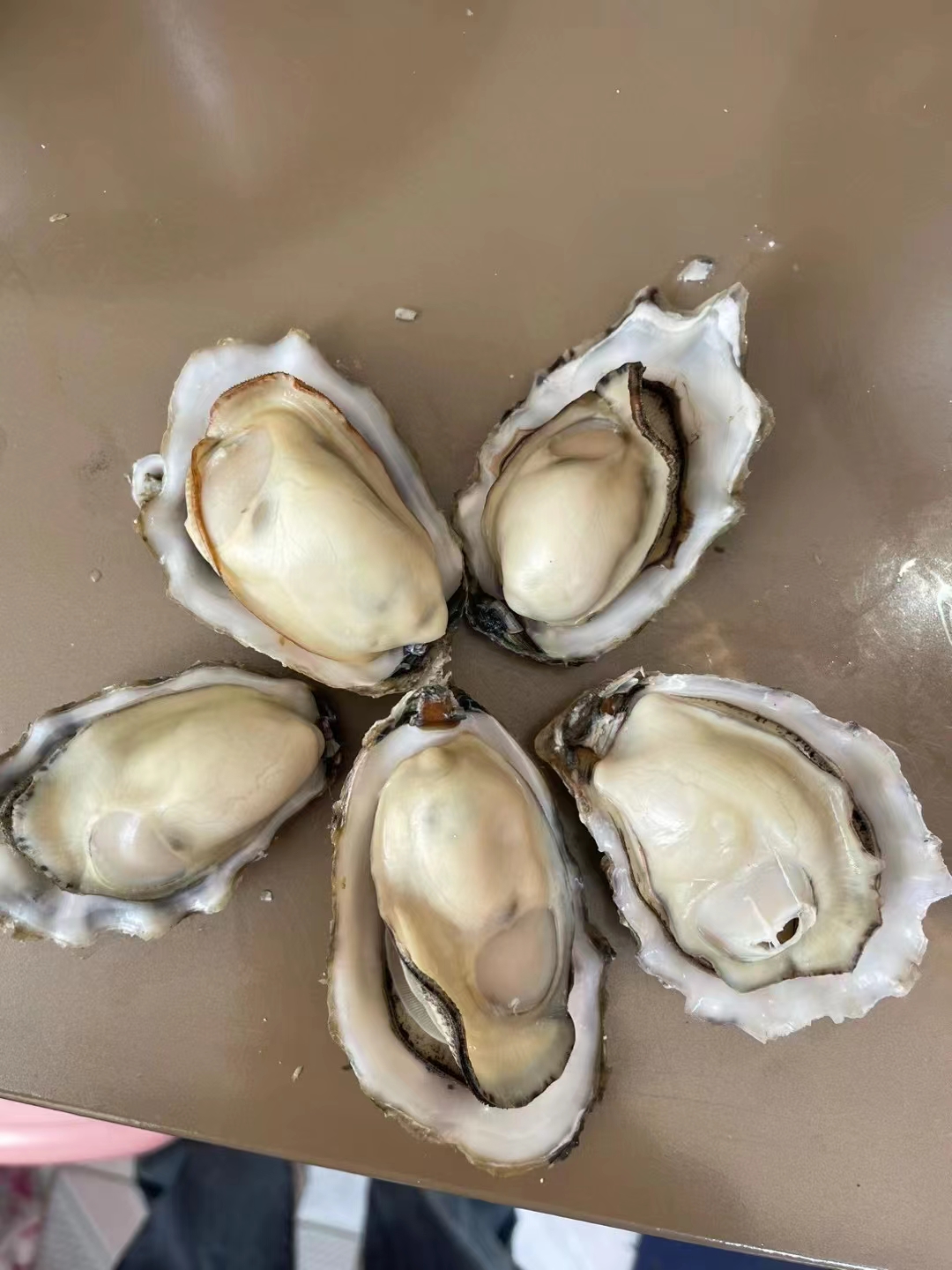 产地生蚝，货源稳定，肥度高，现货发货，全程冷链