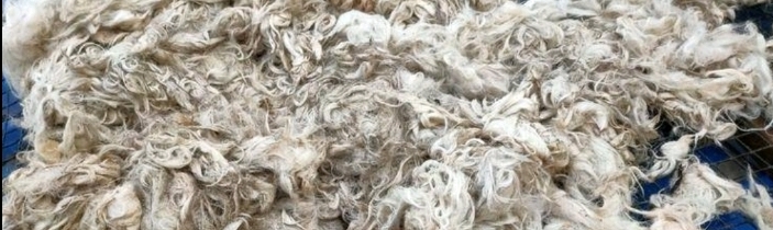 察哈尔右翼中旗羊毛（多规格，多用途羊毛）各种各样的羊毛，欢迎来电咨询