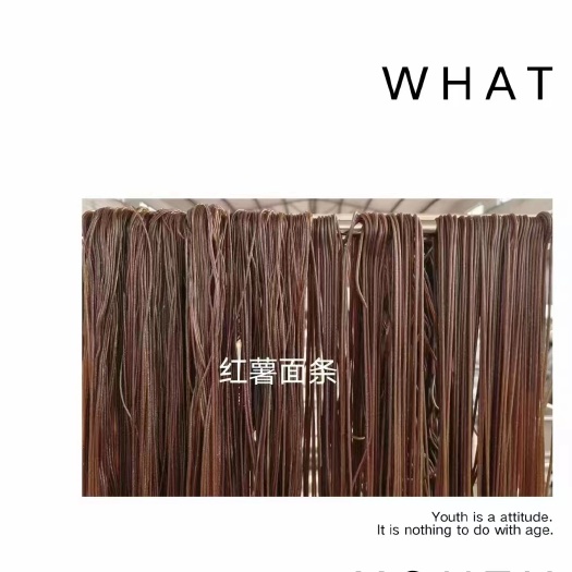新郑市河南特产红薯面条