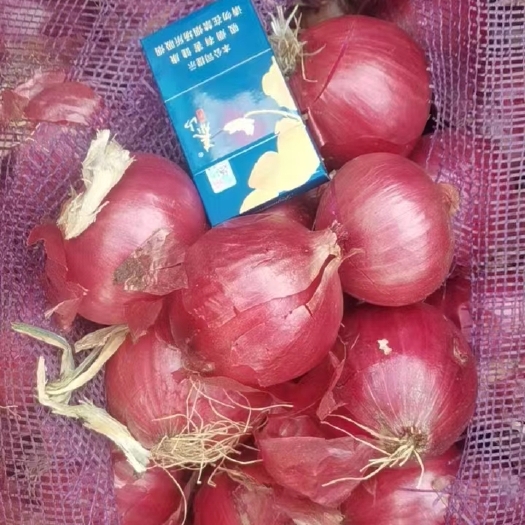 金乡县红美洋葱，个头大，质量好，因冷库到期着急处理，价格实惠！