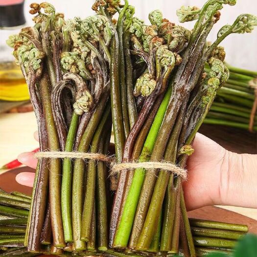 赫章县蕨菜