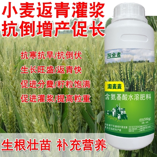 长沙小麦麦田灌浆肥促根系发达返青迅速壮穗孕穗饱满抗倒伏叶面肥包邮