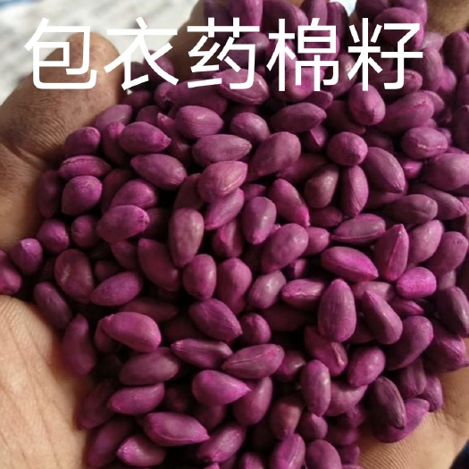 包衣药棉种，现压保留油，优质纯全脂饼，杀虫灭菌