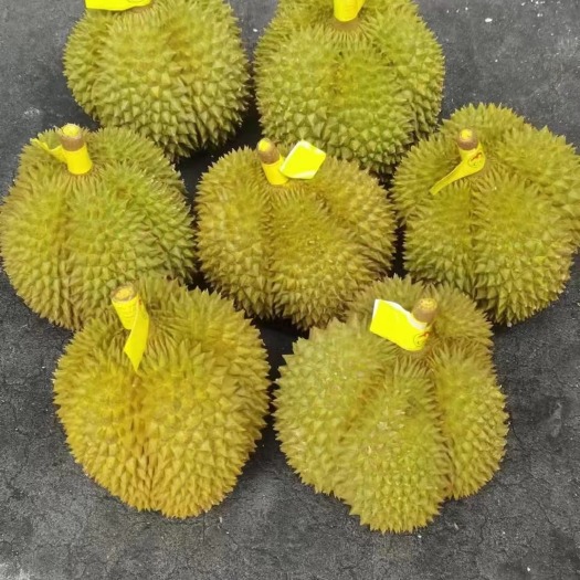 成都甲仑榴莲