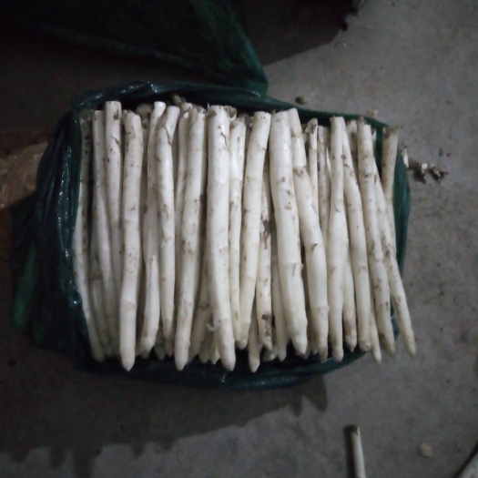 白芦笋当天采当天发货笋质鲜嫩2斤起售量大从优