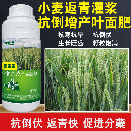 长沙麦黄金小麦专用叶面肥小麦分蘖抗倒伏营养增产增穗灌浆饱满包邮