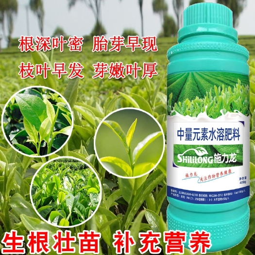 郑州茶树叶面肥营养液催芽素促芽多叶厚