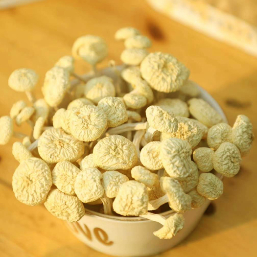 岑巩县茶树菇白菇