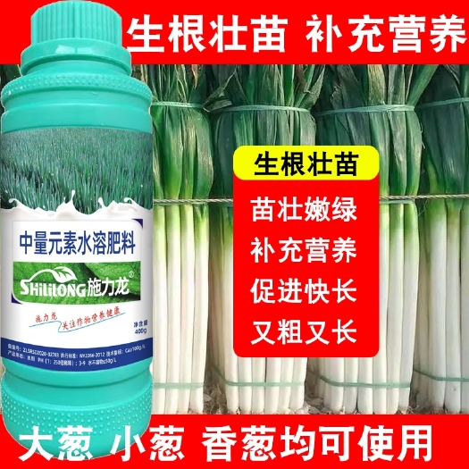 郑州大葱叶面肥施力龙香葱小葱氨基酸有机肥料防干尖黄叶增粗