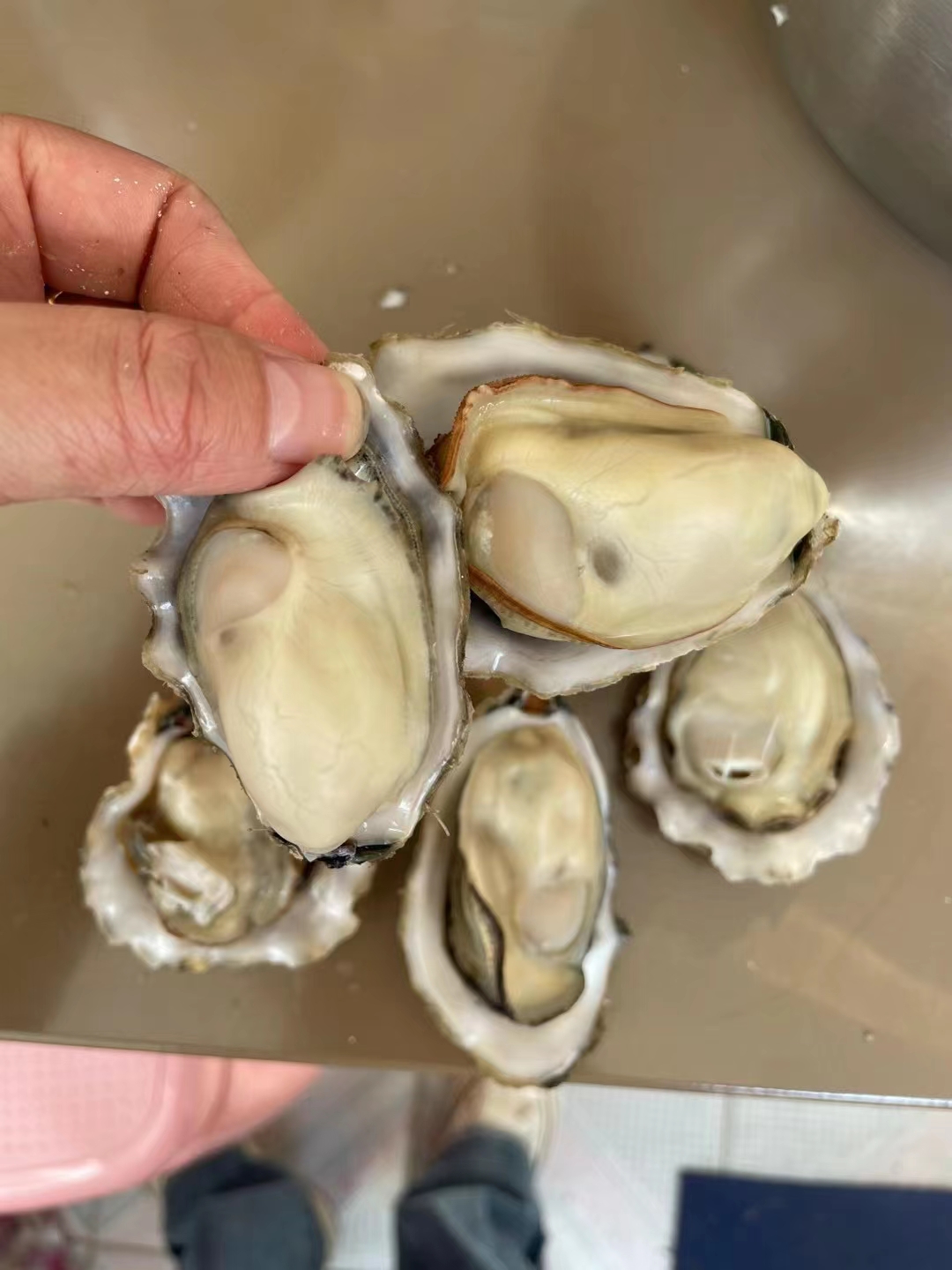产地生蚝，货源稳定，肥度高，现货发货，全程冷链