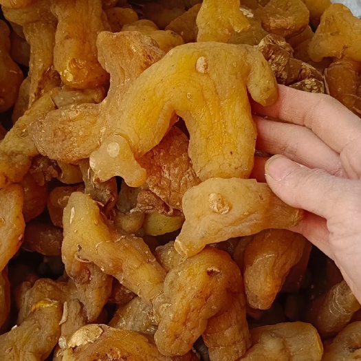 玉林中药材黄精