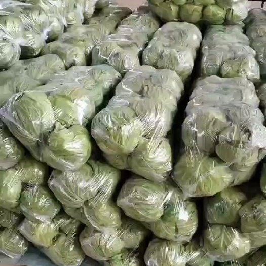 邯郸中甘系列