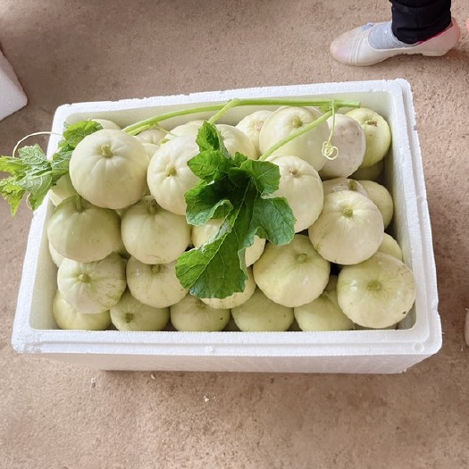 北海皮薄肉脆，甜而爽口的香瓜大量出售