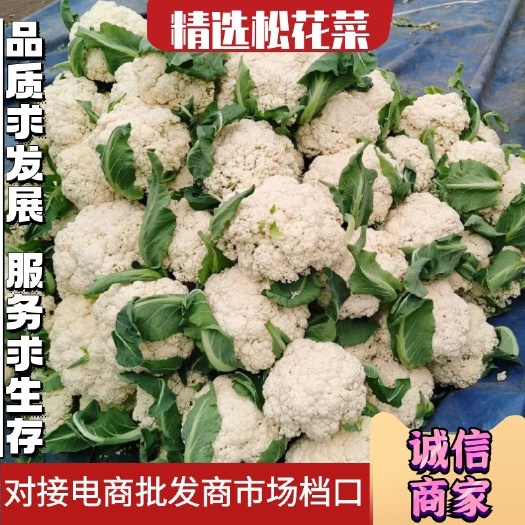 博爱县河南花菜，白花菜花，面白小米粒，视频看货，线上保障交易。
