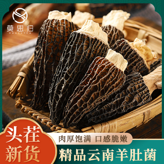 东莞市云南特产头茬新货羊肚菌肉质肥厚口感脆嫩无熏染