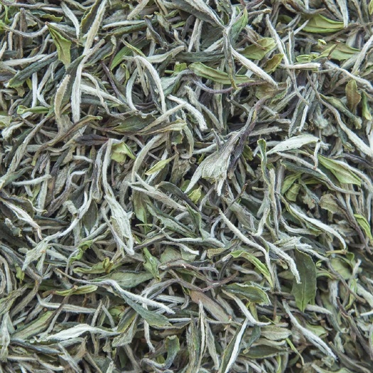 深圳福鼎白茶白牡丹散茶2022明前花香高山茶一级新茶茶叶