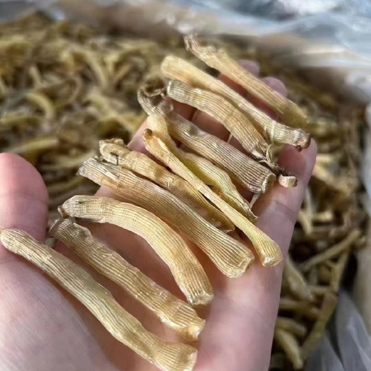 阳西县沙虫干，煮汤