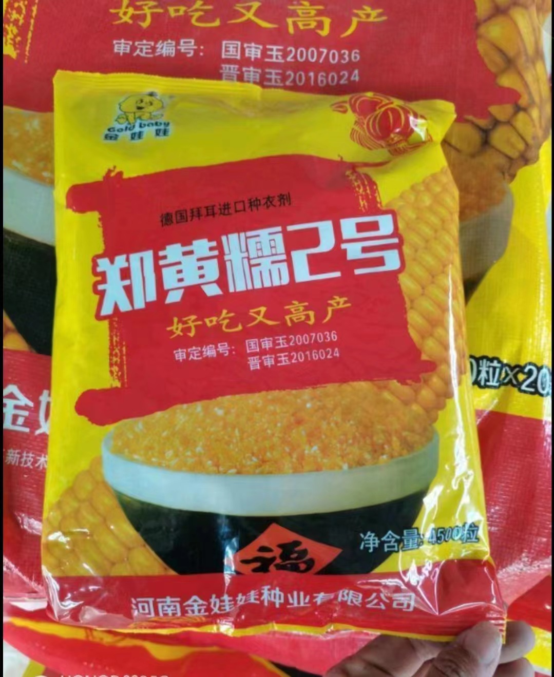 济南郑黄2号，数量有限，先到先得