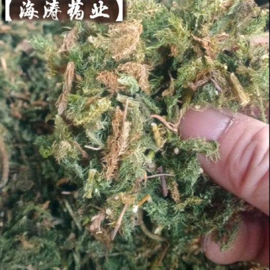 【伸筋草】产地云南一手货源大货供应.规格齐全量大优惠