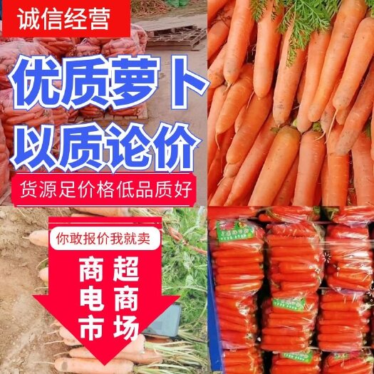 开封红萝卜产地直发【电商】市场、商超长期供应。