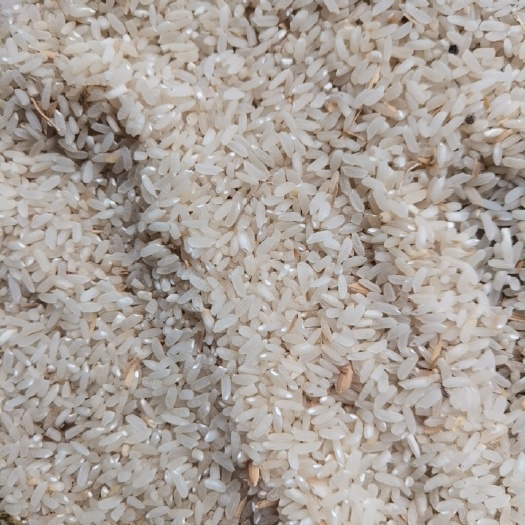 平塘县煮酒米