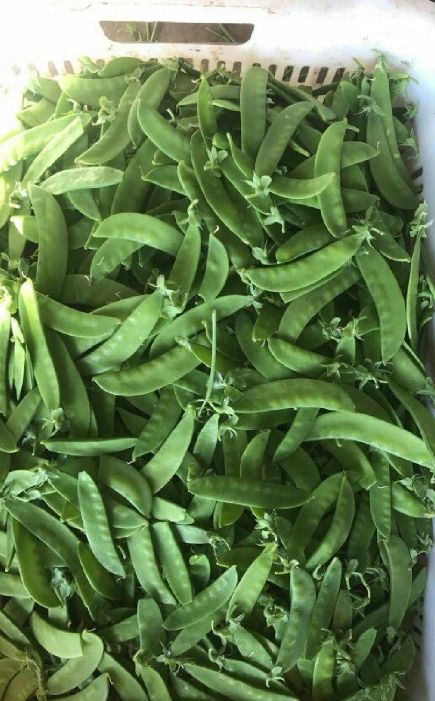 荷兰豆，豌豆荚，青脆爽口。时令新鲜。