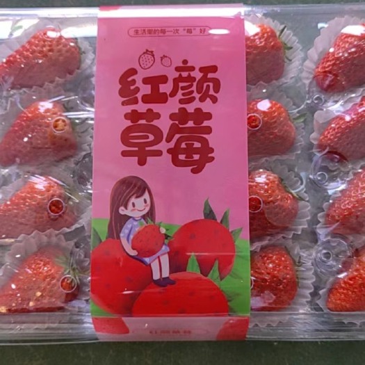 丹东红颜九九草莓水晶礼盒