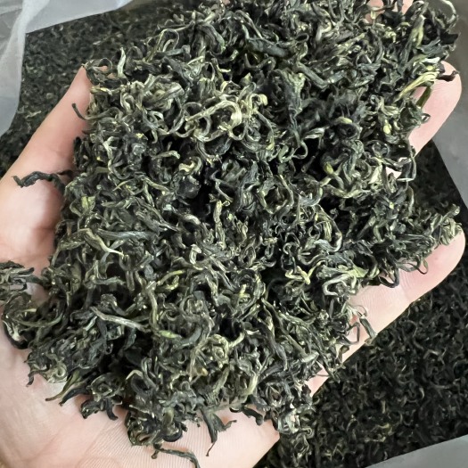 怀集县早春毛尖，绿茶
