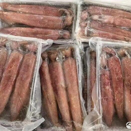 湛江灯光海捕鱿鱼 急冻无泡水 精选品质 网商产品