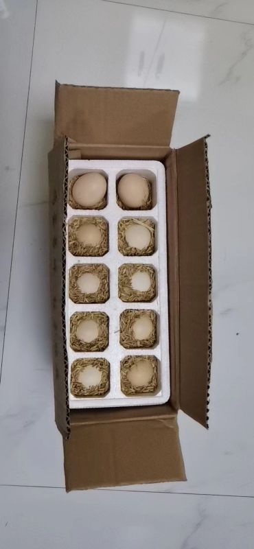 昆山市散养土鸡蛋