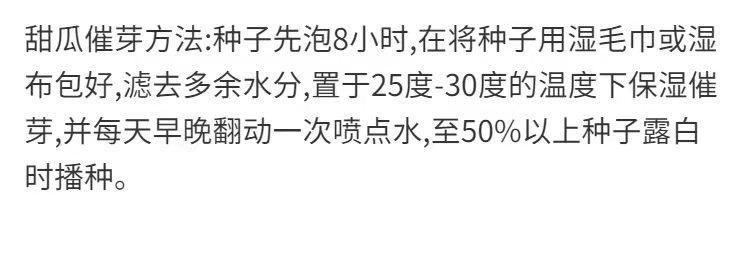 伊丽莎白甜瓜种子绿宝石原装正品青皮香瓜甜瓜种子超甜绿色蜜宝