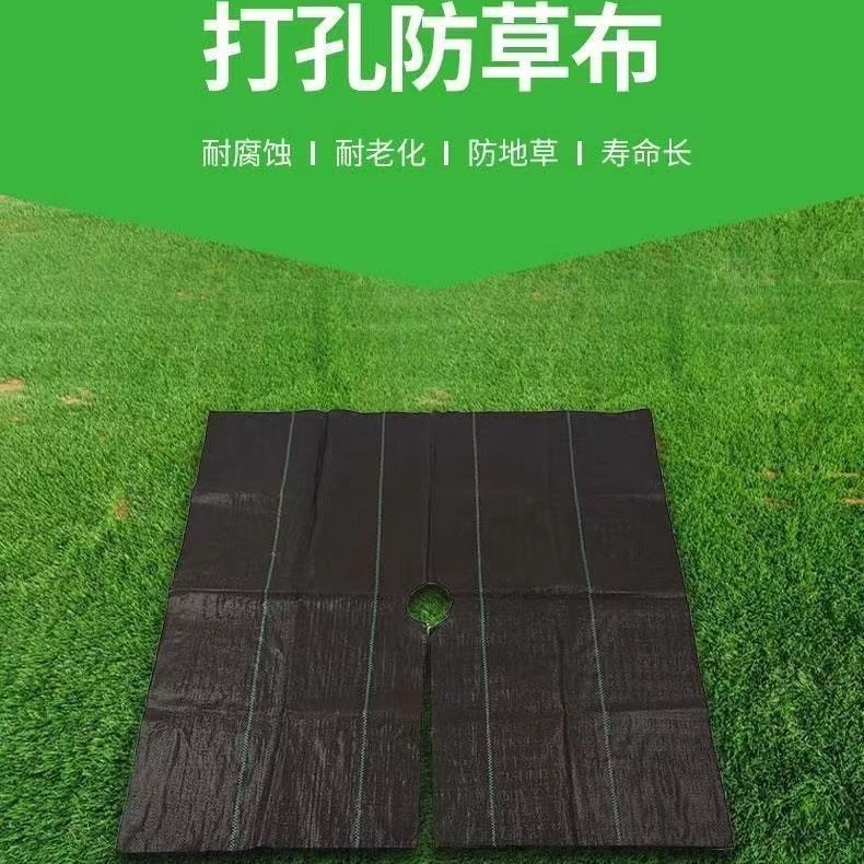 【工廠批發(fā)】打孔切片防草布批發(fā)防草布廠家直銷除草布批發(fā)農(nóng)用