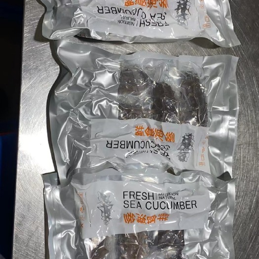 大连鲜食海参 即食海参 活海参加工