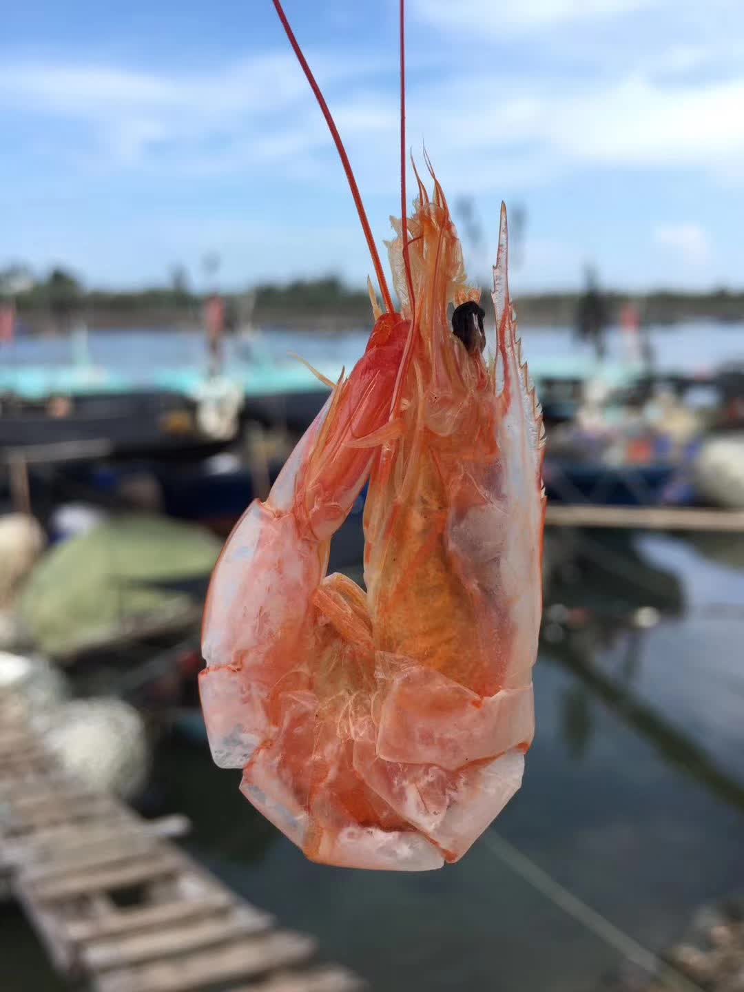 湛江海水日晒烤虾、斑节虾、海虾、开袋即食、无添加剂