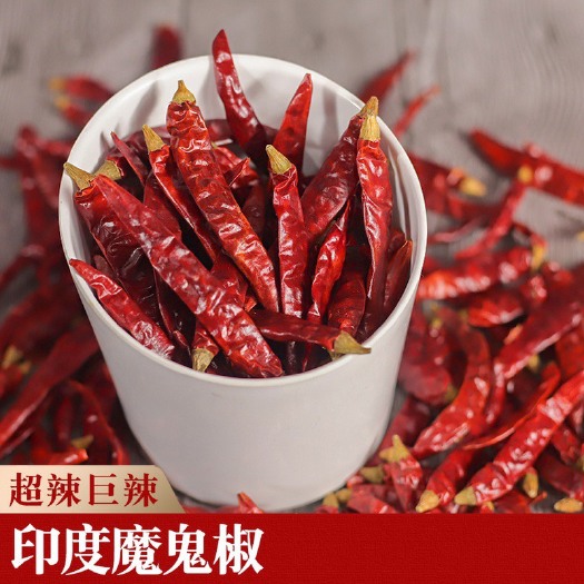 广州印度魔鬼椒批发1包50斤，50包起批
