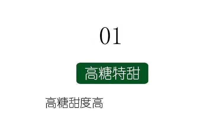 伊丽莎白甜瓜种子绿宝石原装正品青皮香瓜甜瓜种子超甜绿色蜜宝