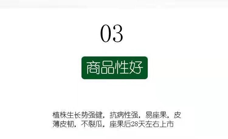 伊丽莎白甜瓜种子绿宝石原装正品青皮香瓜甜瓜种子超甜绿色蜜宝