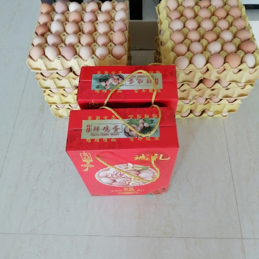 清远清远市清城区清远麻鸡初生蛋