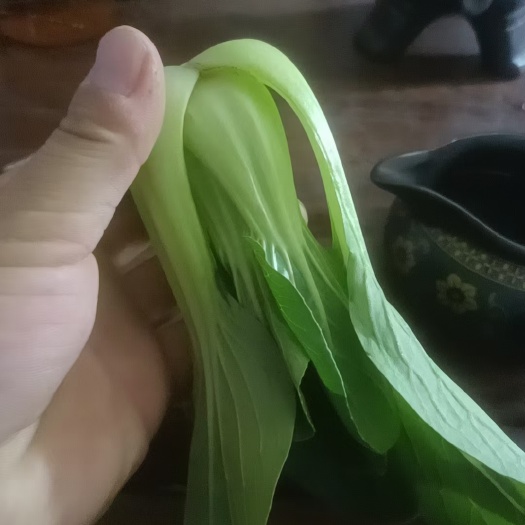 大名县油菜