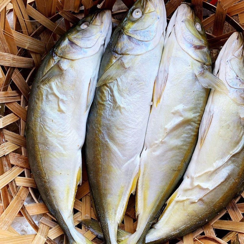 潮汕特产汫洲打冷红鱼鱼饭每天现煮鲜甜即食海鲜