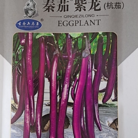 【精品苗】茄子苗杭茄苗线茄苗紫红线茄
