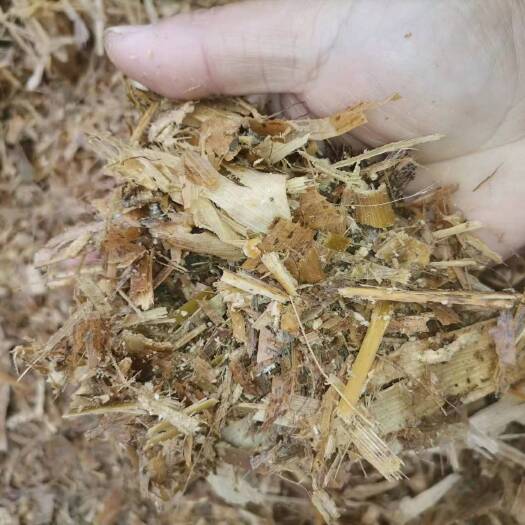灵璧县处理了