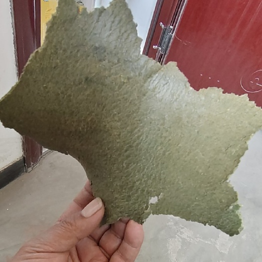 朔州菜籽饼饲料